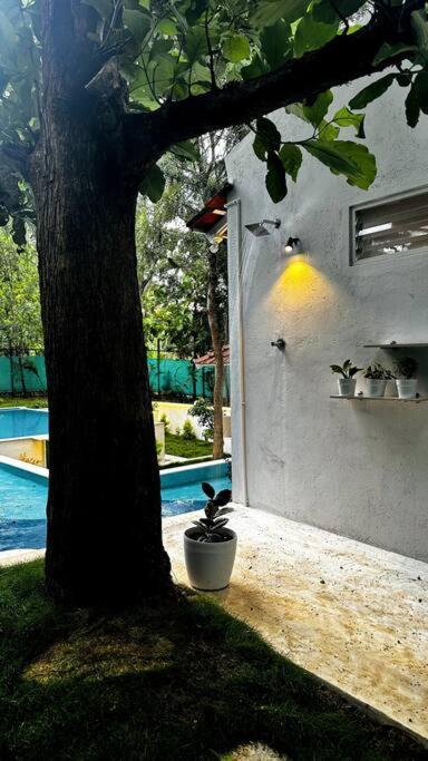 Serenity Farm Stay Hampāpura المظهر الخارجي الصورة