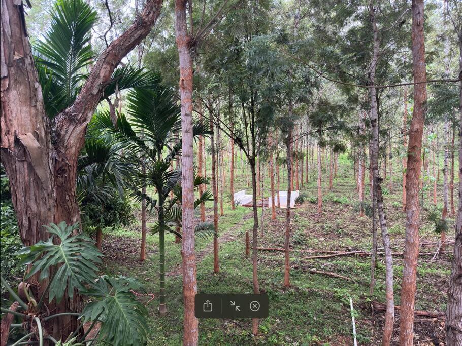 Serenity Farm Stay Hampāpura المظهر الخارجي الصورة